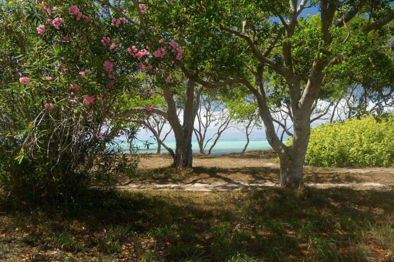 Auberge De Poe Bourail Εξωτερικό φωτογραφία